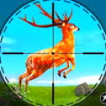 Wild Deer Hunting Jungle Hunt‏ Mod