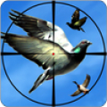 Flying Bird Hunting Games: Bird Shooter Mod