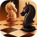 Chess icon