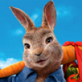 Peter Rabbit Run! Mod