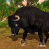 wild angry bull attack simulator icon