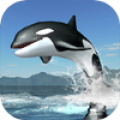 Orca Survival Simulator icon