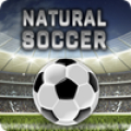 Natural Soccer Mod