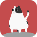 Cat Stack icon