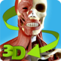Easy Anatomy 3D - learn anatomy Mod