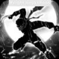 Knight Dark Shadow ninja icon
