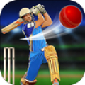 Cricket - T20 World Champions Mod