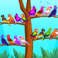 Color Bird Sort Puzzle Games Mod