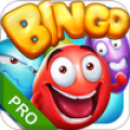 Bingo - Pro Bingo Crush™ Mod