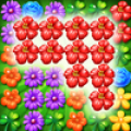 flores de jardín APK