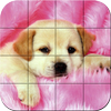 Puzzle - Puppies Mod