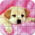 Puzzle - Puppies Mod