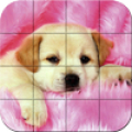 Puzzle - Puppies icon