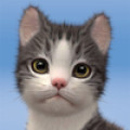 Kitten: Cat Game Simulator icon