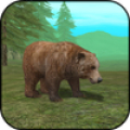 Wild Bear Simulator 3D icon