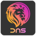 Lion DNS Changer Net Optimizer Mod