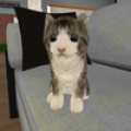 Kitty Cat Simulator icon