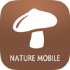 iKnow Mushrooms 2 PRO Mod