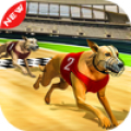 Dog real Racing  Derby Tournament: Dog Race Game Mod