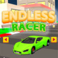 Endless Racer icon
