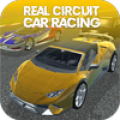 The Real Circuit Car Racing icon