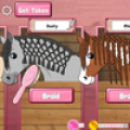 Horse Care - Mane Braiding Mod