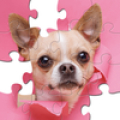 Jigsaw Puzzles Collection HD Mod