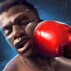 Boxing King -  Star of Boxing Mod