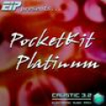 Caustic 3 PocketKit Platinum‏ Mod
