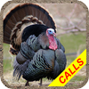 Turkey hunting calls Pro: Hunt Mod