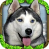 Stray Dog Simulator‏ Mod Apk 1.2 