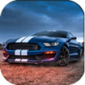 Mustang Driving & Parking & Ra icon