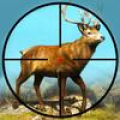 Wild Animal Safari Shooting 3D icon