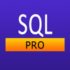SQL Pro Quick Guide Mod