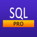 SQL Pro Quick Guide‏ Mod