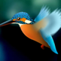 Kingfisher Live Wallpaper icon