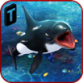 Killer Whale Beach Attack 3D Mod