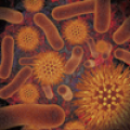 Infectious Disease Compendium‏ Mod