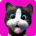 Daily Kitten : kucing maya Mod
