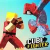 Cube Fighter 3D Mod Apk 1.8.0 [المال غير محدود]