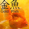 Gold Fish 3D Live Wallpaper Mod