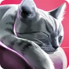 CatHotel Mod apk