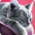 CatHotel - play with cute cats‏ Mod