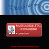 MSK ultrasound Lower Limb Mod