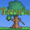 
Terraria