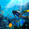 Underwater Survival Simulator Mod Apk