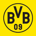 Borussia Dortmund Mod