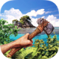 Island Is Home Survival icon