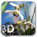 Nature Live Spring Flowers XL icon
