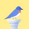 Bouncy Bird Mod Apk 1.0.5 